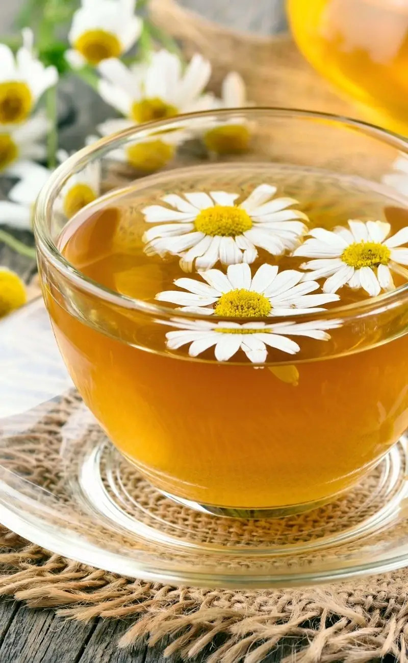 Chamomile tea with daisies